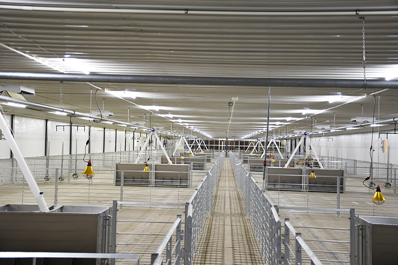 DSC_0134_02 拷貝.jpg DSC_0134_02 拷貝.jpg